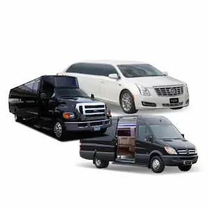 See All Party Bus In Las Vegas