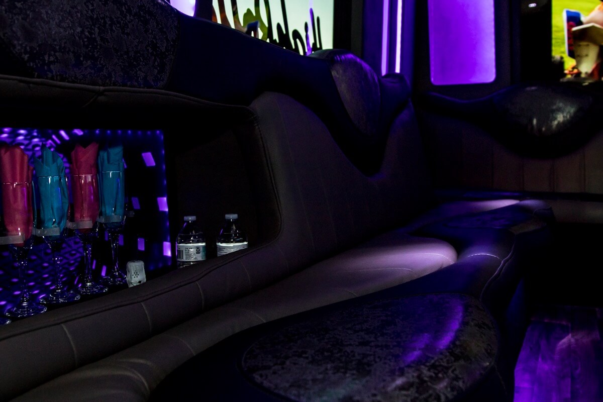 20 Passenger Ford E450 Party Bus Rental Las Vegas 2