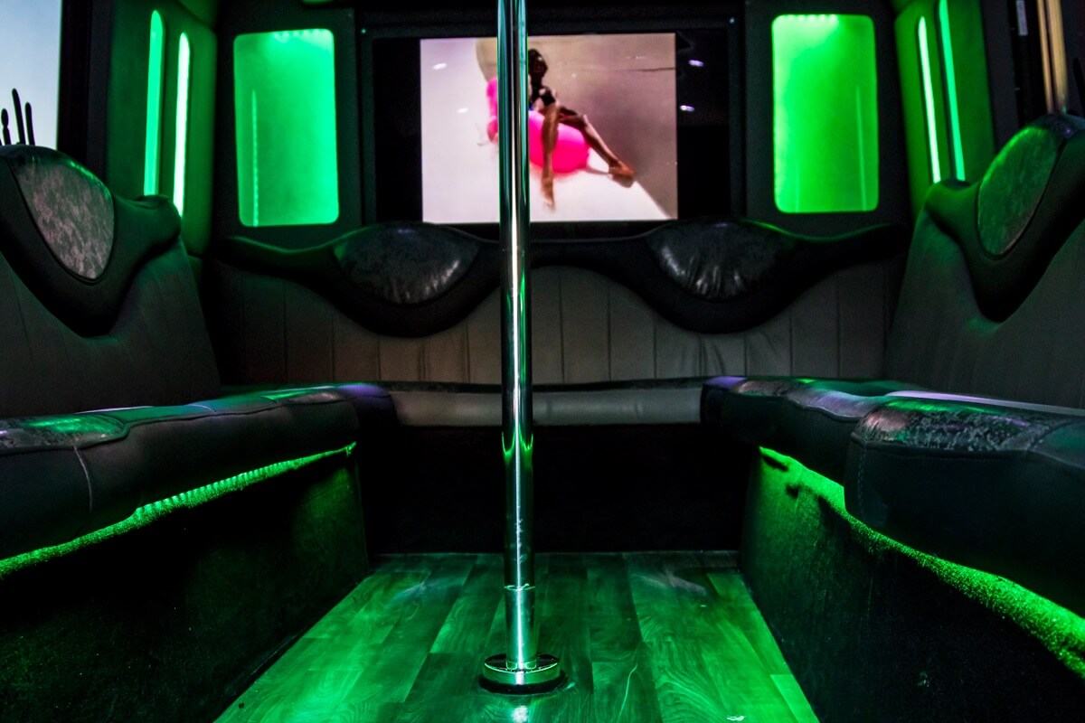 20 Passenger Ford E450 Party Bus Rental Las Vegas 3