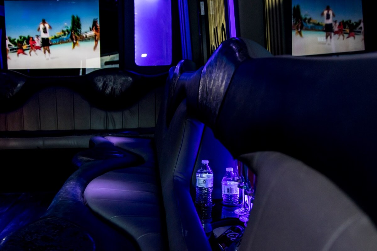 20 Passenger Ford E450 Party Bus Rental Las Vegas 4