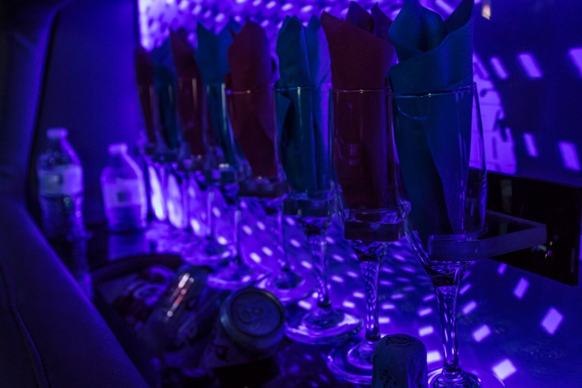 20 Passenger Ford E450 Party Bus Rental Las Vegas 6